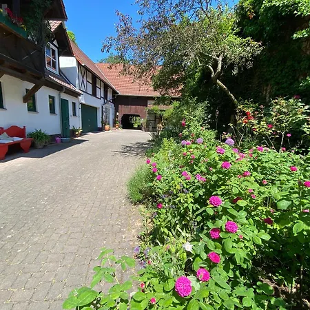 Wohnen & Kunst Bad Rodach