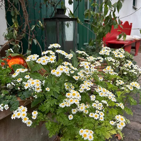 Wohnen & Kunst * Bad Rodach