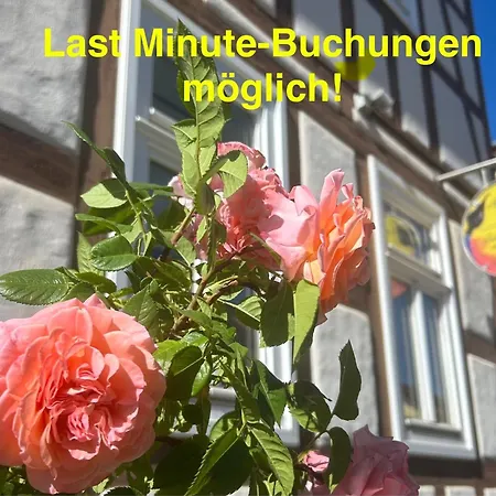 Wohnen & Kunst *